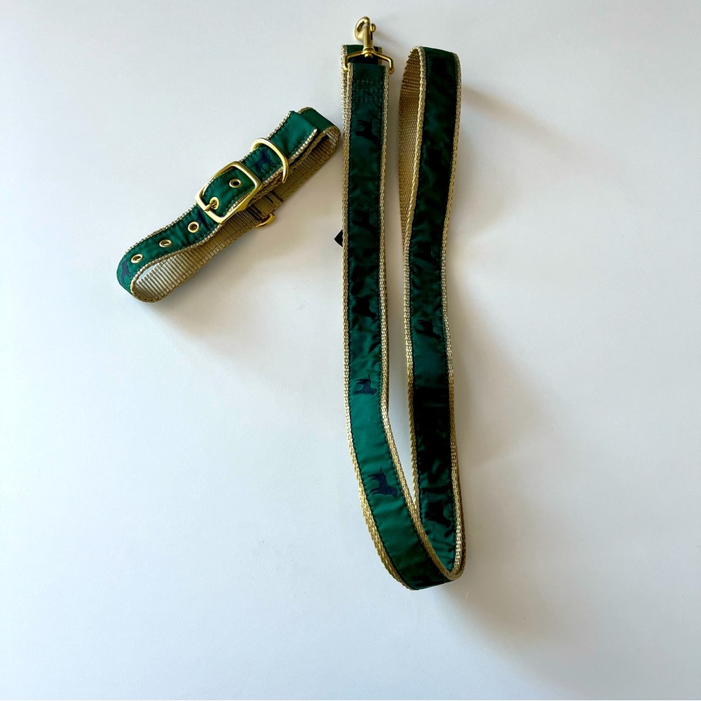 Matching Dog Collar and Leash